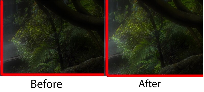 Before and after comparison of a dark forest scene with moss-covered tree, showing increased clarity and reduced shadows in the corrected version.