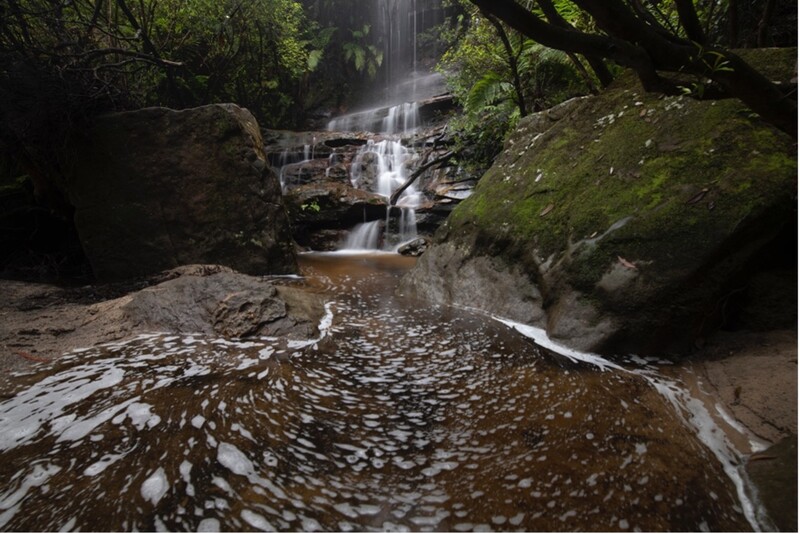 Cascading waterfall flows through moss-covered rocks in a densely forested ravine with a reflective pool in the foreground.