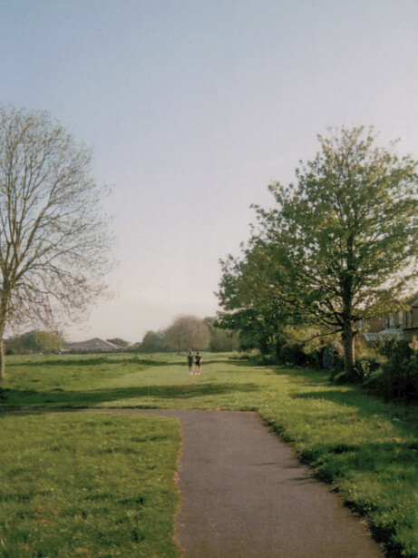 Park pathway lined with trees, with bare branches on left and leafy green foliage on right.