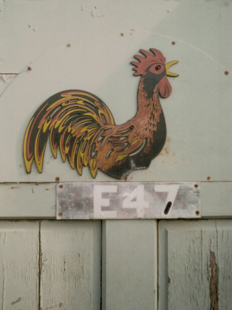Illustration of a rooster with golden and red plumage painted on weathered wooden boards.