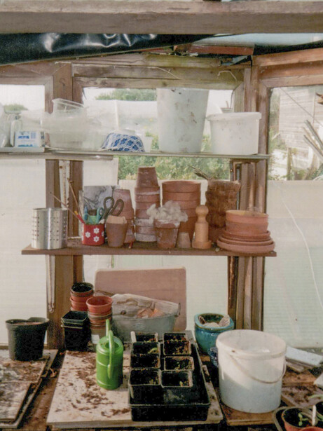 Organized potting station with tiered wooden shelving displaying plants, containers, and gardening supplies.