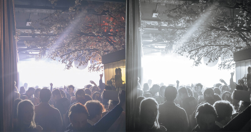 Side-by-side comparison of the same outdoor concert crowd scene with different exposure and color grading.
