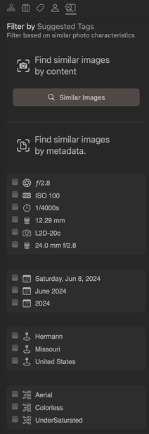 Screenshot of a photo filter menu showing organizational options and metadata filters.