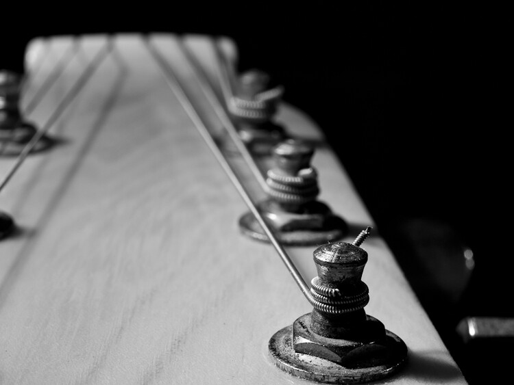 Close-up of guitar tuning pegs along the headstock in sharp black and white.