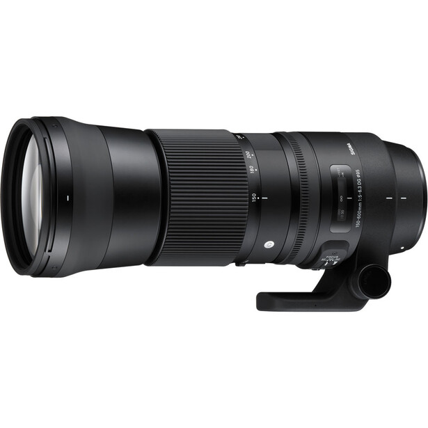 Black telephoto lens with focusing ring and tripod mount collar against white background.