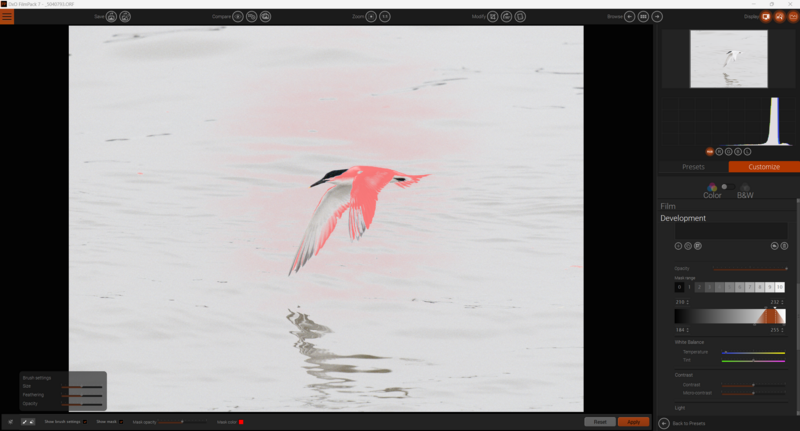 Screenshot of photo editing software showing a watercolor-style illustration of a pink bird in flight above water.