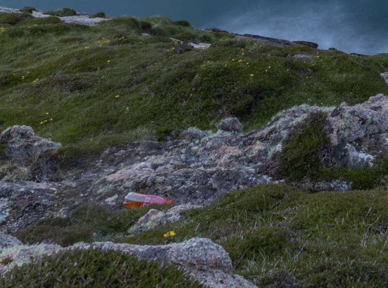 Pink object on rocky, moss-covered hillside with grass and stones under dramatic sky.