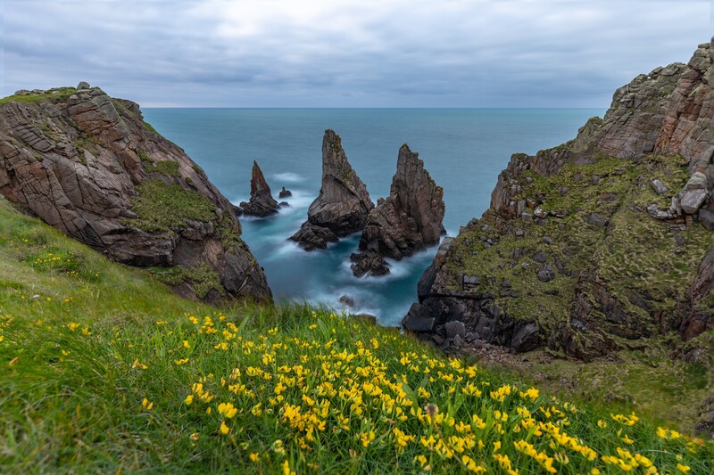 Dramatic rocky sea stacks rise from turquoise water beneath steep green cliffs dotted with yellow wildflowers.