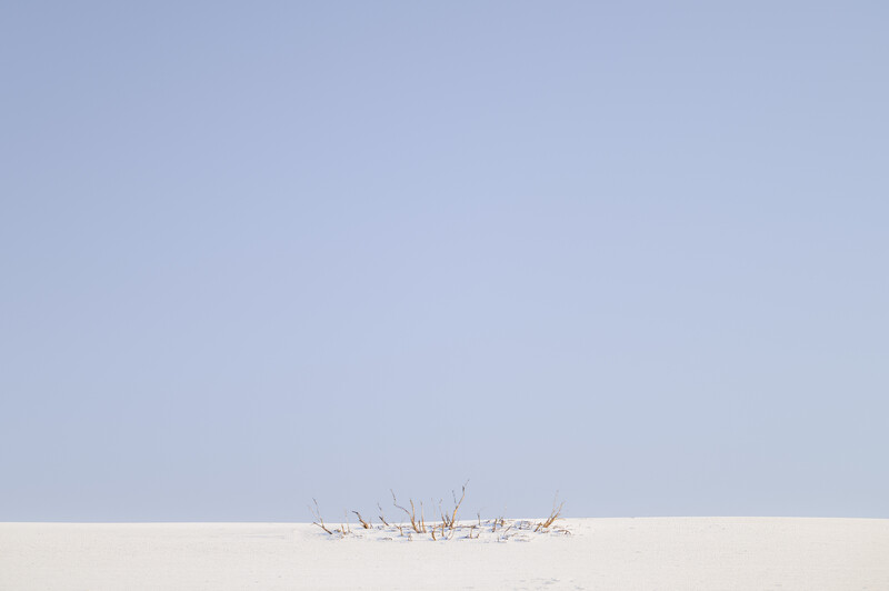 Sparse driftwood scattered across a flat sandy beach under a clear blue sky.