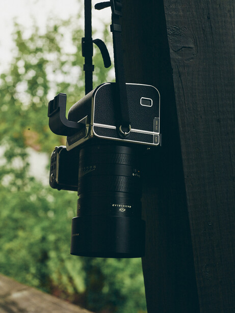 Professional camera rig with telephoto lens mounted on a dark pole outdoors with blurred green foliage in background.