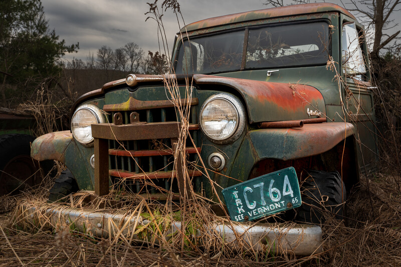 Abandoned truck with rusted metal body, intact headlights, and overgrown vegetation growing through its frame.