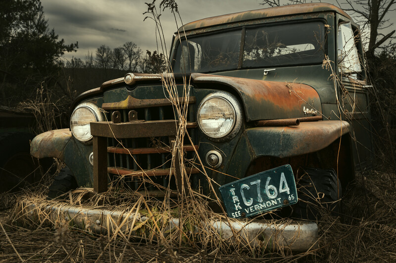 Abandoned rusted truck overgrown with dried vines and vegetation in an outdoor setting.