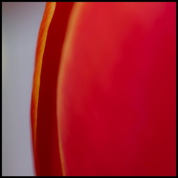 Close-up of curved red and orange surfaces with soft gradient lighting against a neutral background.