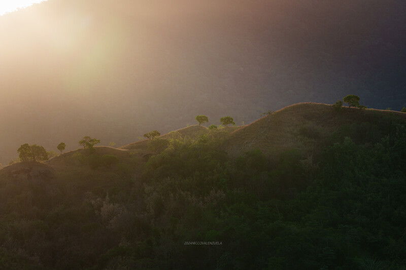 Forested hillsides bathed in golden sunlight during golden hour, with atmospheric haze creating layered depth across the rolling terrain.