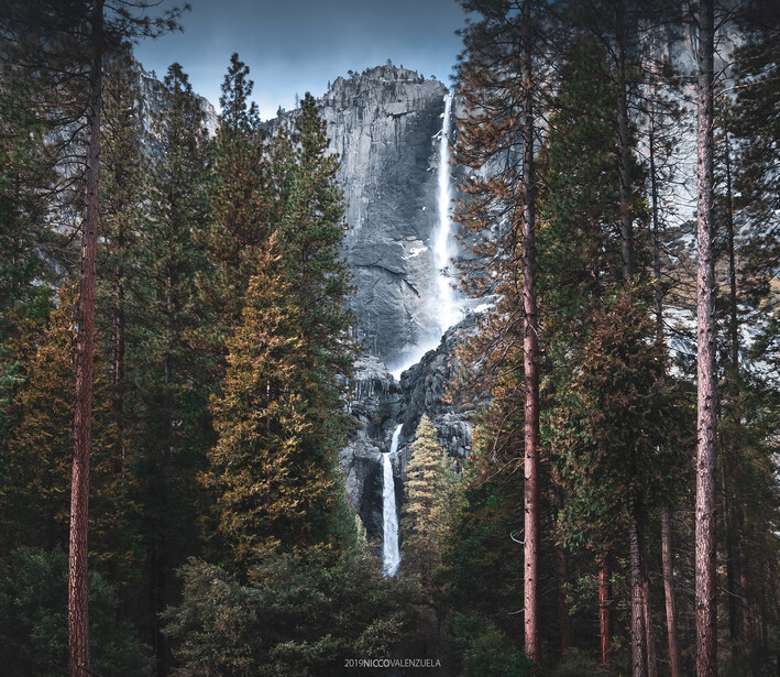 Tall waterfall cascading down a rocky cliff face framed by towering evergreen trees.
