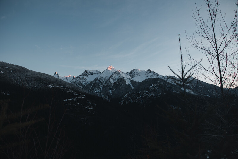 Snow-capped mountain peaks at sunset with bare trees in the foreground and forested slopes.