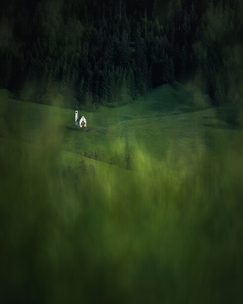 A small white house nestled in a vast green hillside surrounded by dark forest.