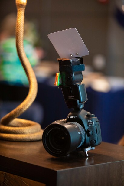 My usual setup: a 15 year old old Canon Speedlight 430 EX II and a Demb Classic reflector