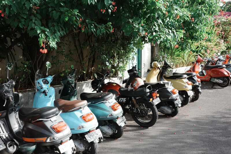 Row of parked scooters lined up on a shaded street beneath hanging vines and flowering trees.