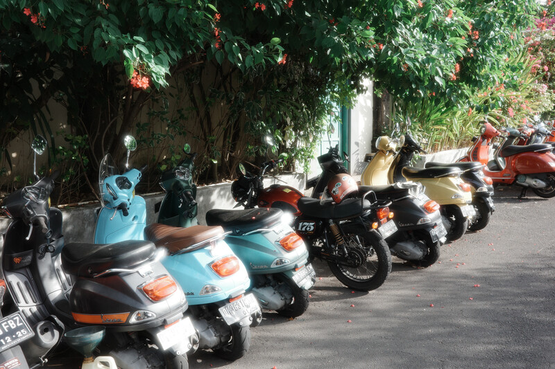 Row of parked scooters and motorcycles lined along a tree-covered street in bright daylight.