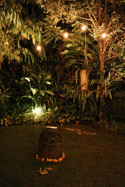 Night garden scene with uplighting on tropical plants and trees creating dramatic shadows.