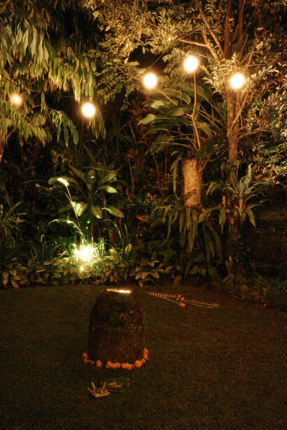 Night garden scene with warm uplighting illuminating tropical plants and trees.