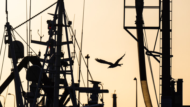 Silhouetted industrial structures and a bird in flight against a warm, hazy sky.