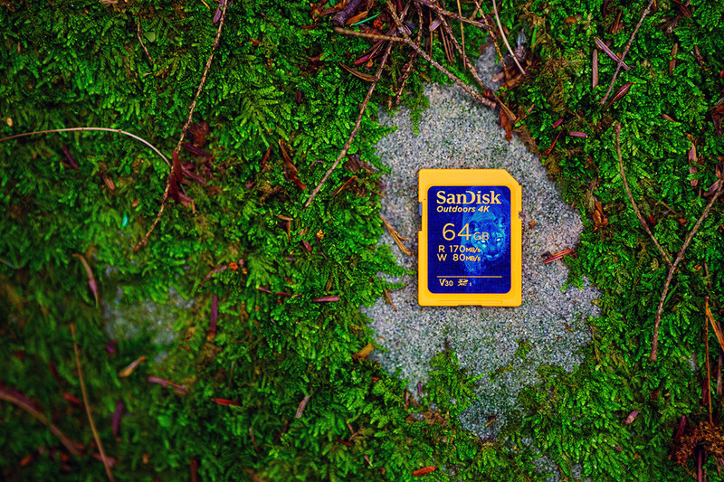 SanDisk 64GB memory card placed on moss and lichen-covered stone surrounded by green grass.
