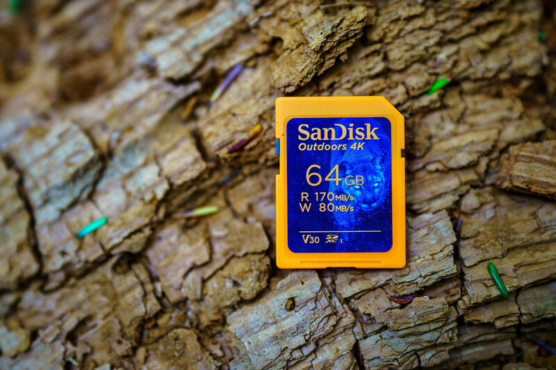 SanDisk Outdoors 4K 64GB SD card on weathered tree bark texture.