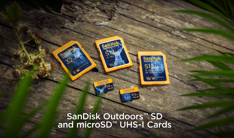 SanDisk Outdoors SD and microSD UHS-I memory cards displayed on weathered wood with grass.