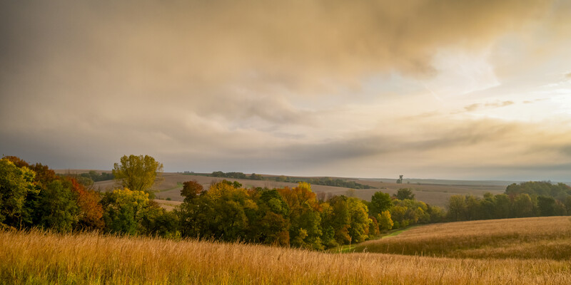 Rolling countryside landscape with golden grassland, autumn trees, and dramatic cloudy sky at dusk.