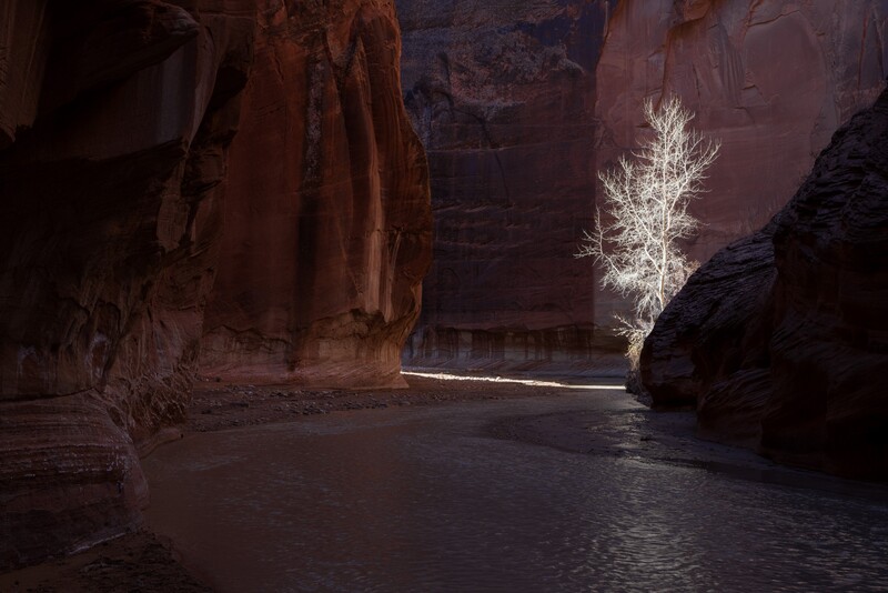 2024 NLPA Intimate Landscape Winner - Brent Clark