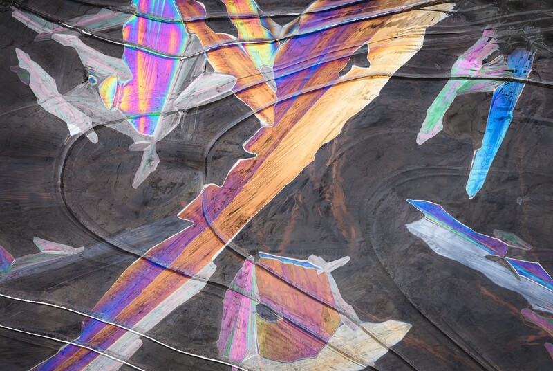 2024 NLPA Abstract Details Winner - Scott Oller