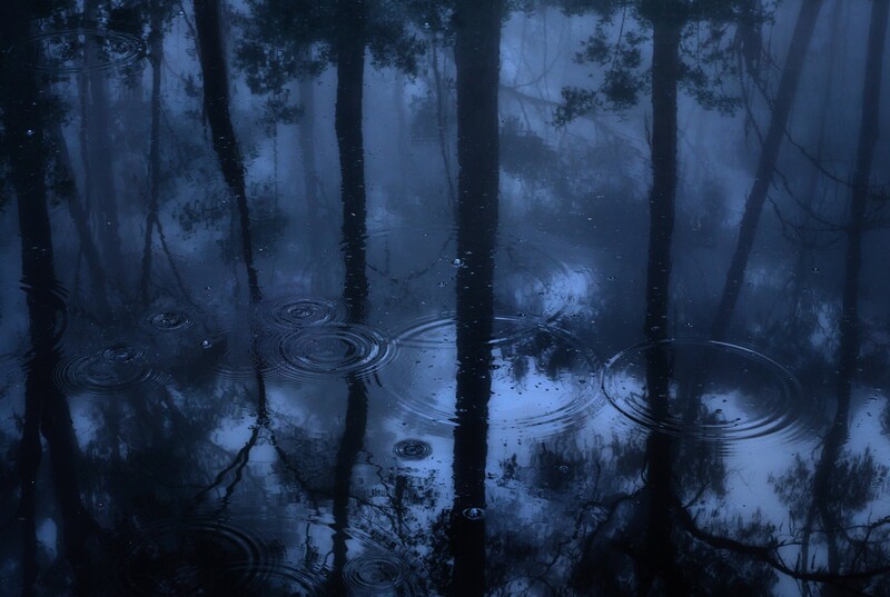 2024 NLPA Photograph of the Year - John Hardiman