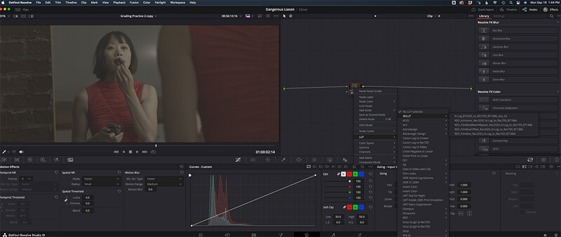 Screenshot of video editing software showing color grading interface with histogram and adjustment curves.