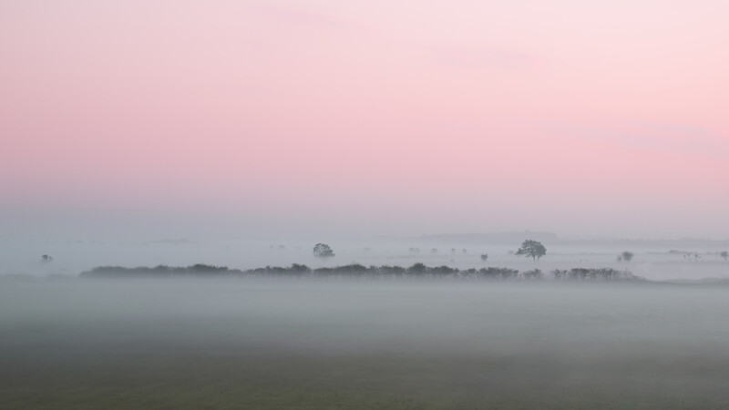 Misty rural landscape at dawn with scattered trees silhouetted through heavy fog.