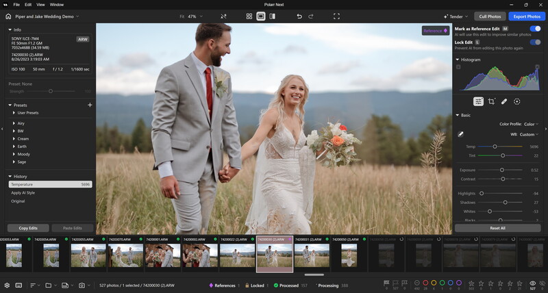 Wedding couple walking hand-in-hand through a mountain meadow during golden hour.