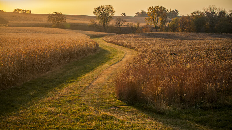 Winding dirt path curves through expansive harvested grain fields at golden hour.