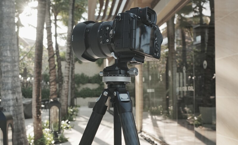 Professional DSLR camera mounted on tripod in a sunlit courtyard lined with tall trees.