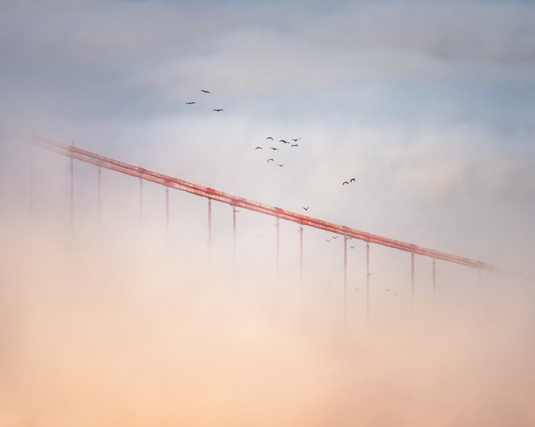 Suspension bridge tower shrouded in fog at dawn, with birds flying across a pink and blue sky.
