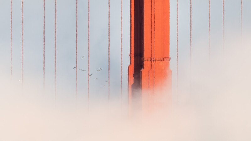 Golden Gate Bridge tower emerging from dense fog with suspension cables visible through the mist.