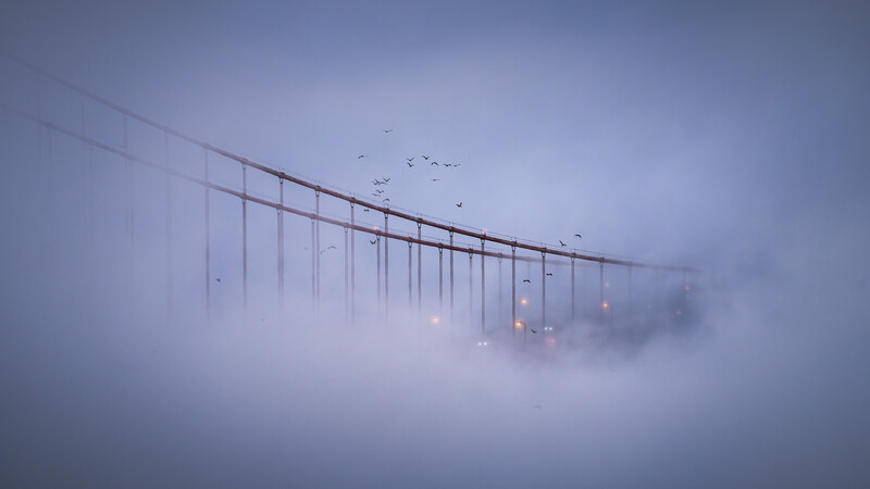 Suspension bridge partially obscured by thick fog, with warm lights glowing from suspended fixtures and birds flying overhead.