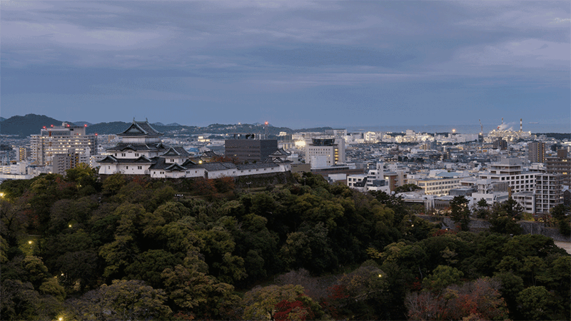 Urban cityscape with forested hills in foreground and sprawling residential buildings under overcast sky.