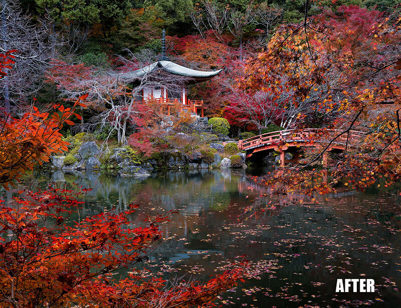 Japanese temple with red autumn foliage reflected in still pond, wooden bridge visible on right side.