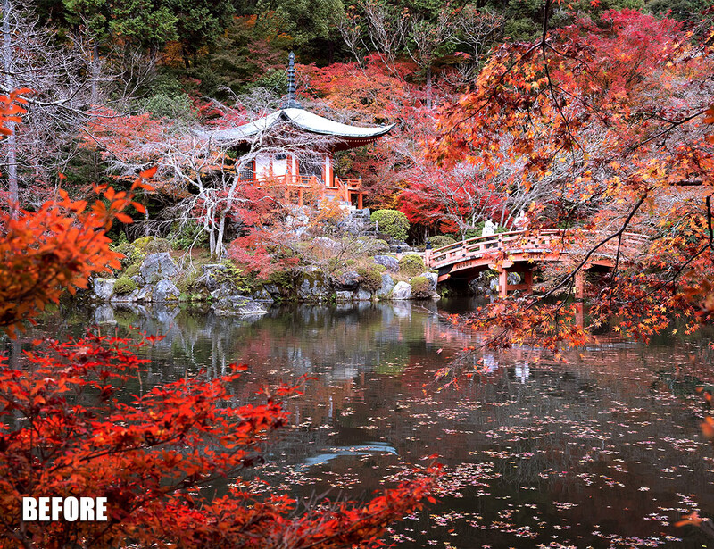 Japanese garden with red autumn foliage framing a pavilion reflected in still water.
