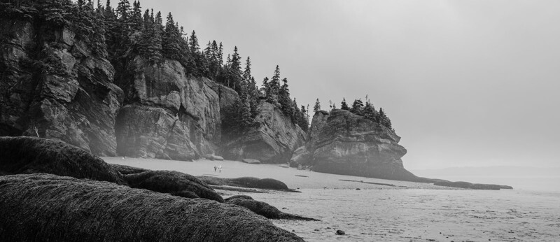 Rocky coastal cliffs forested with evergreens fade into misty ocean under overcast sky.