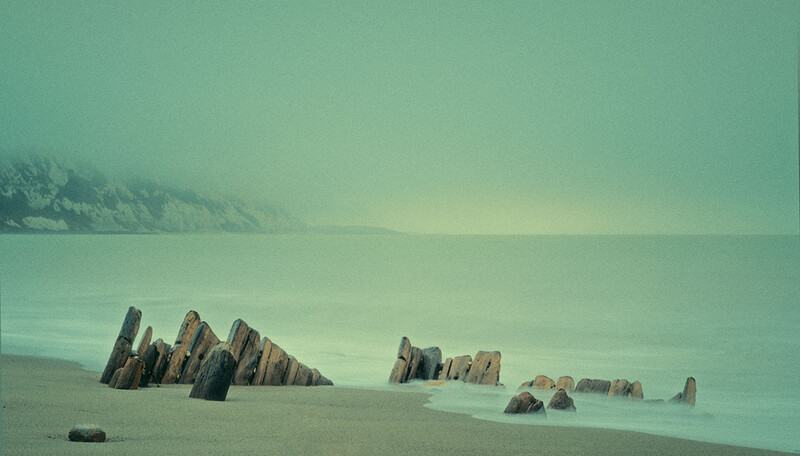 Weathered wooden posts emerge from a misty beach, arranged in receding rows toward fog-shrouded cliffs.