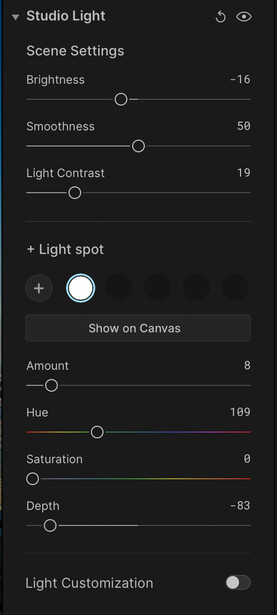 Screenshot of lighting control panel with Studio Light and Light spot settings displayed.