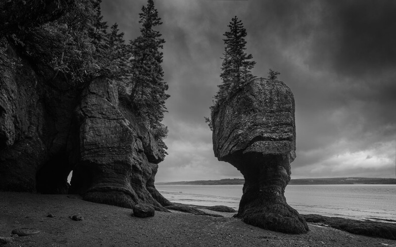 Two large rock formations with coniferous trees on top stand in shallow water along a beach, shot in black and white.