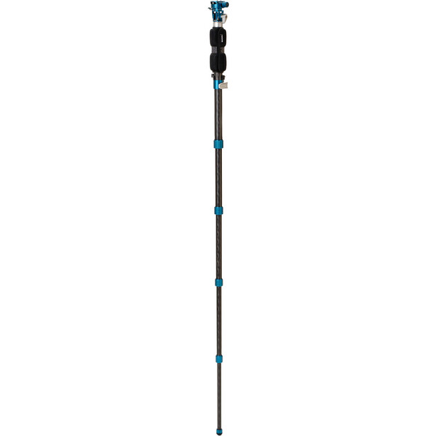 Telescoping camera tripod with blue leg locks and blue ball head mount at full extension.